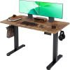 Electric Standing Desk