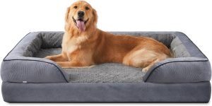 Orthopedic Dog Beds