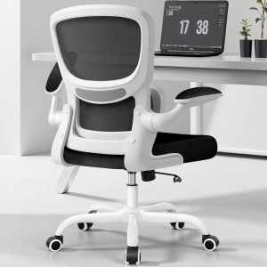 Ergonomic Office Desk Chair