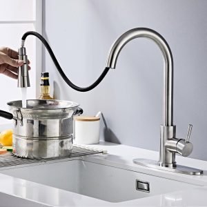 Kitchen Faucets