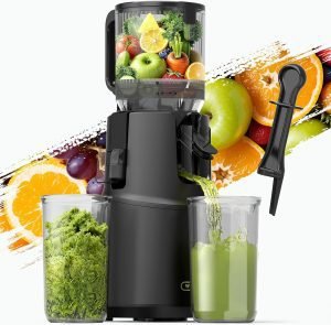Cold Press Juicer WETIE Juicer Machine