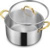 Stainless Steel Stockpot