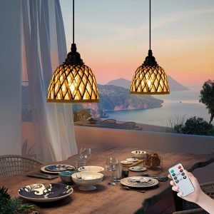 2 Pack Pendant Light