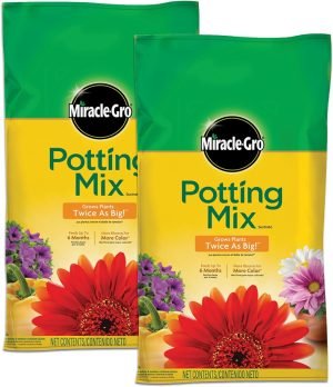 Miracle-Gro Potting Mix 2-Pack