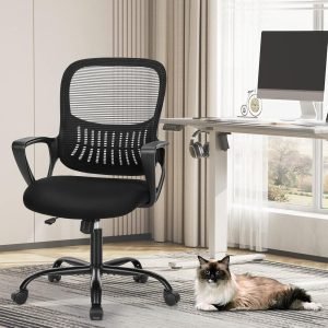 Office Desk Chair