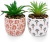 2-Pack Artificial Plants 