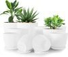 Plant Pots Indoor with Drainage