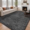 Living Room Rug