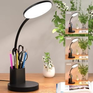 LED Desk Lamp