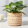 Plant Basket Pots
