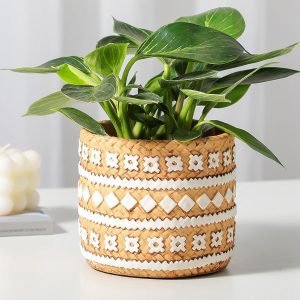 Plant Basket Pots
