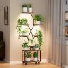 Indoor Plant Stand with Grow Lights