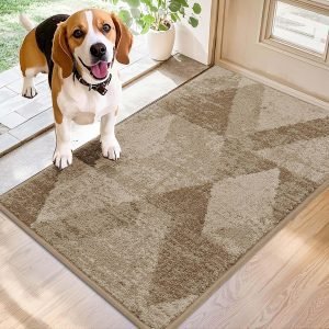 Entryway Rugs / Doormat