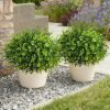 Artificial Faux Outdoor Plants