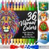 36 Acrylic Paint Markers for Rock