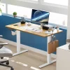 Electric Standing Desk At Walmart !!