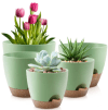 Set of 5 Self-Watering Plant Pots with Drainage at Walmart!