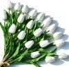 Artificial White Tulips 20 Pcs