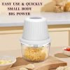 Electric Garlic Chopper