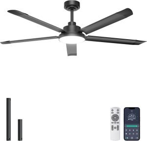 Ceiling Fan with Lights