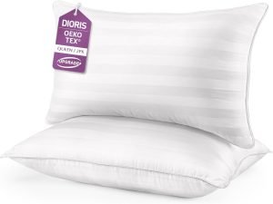 Queen Pillows Set of 2
