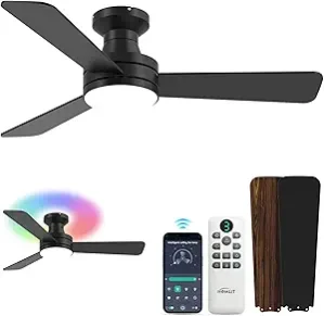 Small Ceiling Fan with Light