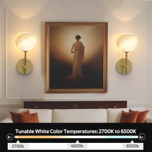 Wall Sconces Set for Home Decor