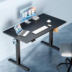 48 Inch Electric Standing Desk