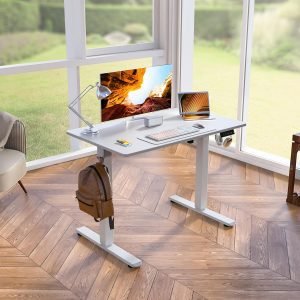 Standing Desk Height Adjustable Small Electric Stand Up Desks