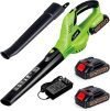 Leaf Blower Cordless