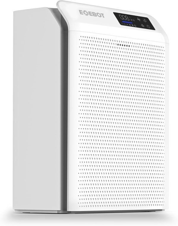 Air Purifiers for Home