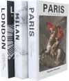 3 Pcs Decorative Books Set