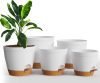 Home Self Watering Pots