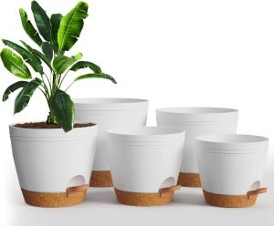 Home Self Watering Pots