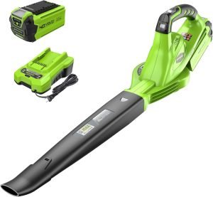Greenworks 40V Leaf Blower/Sweeper