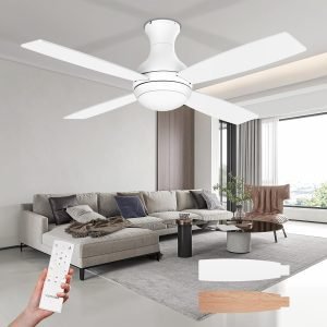 Ceiling Fan With Lights