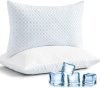 Shredded Memory Foam Pillows