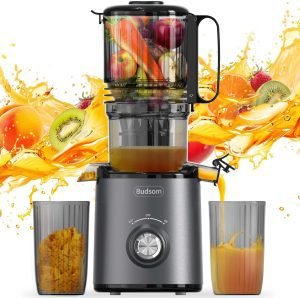 Cold Press Juicer Machine 