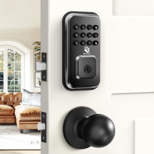 Keyless Entry Smart Door Lock