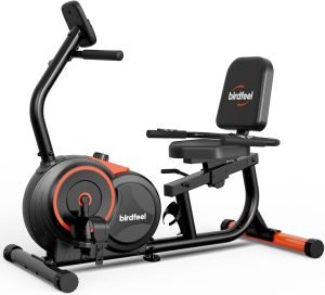 Recumbent Exercise Bike for Home