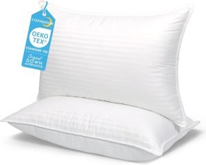 Bed Pillows for Sleeping Queen Size