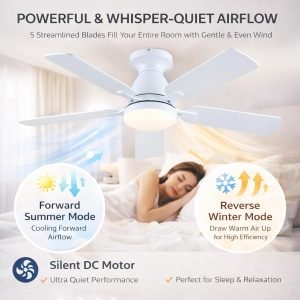 Ceiling Fans with Lights