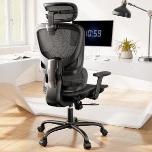 Office Chair with 5-Level Lumbar Support