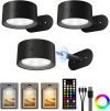 Picture Lights for Wall