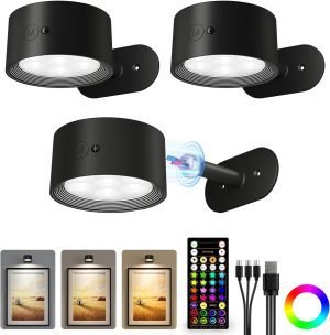 Picture Lights for Wall