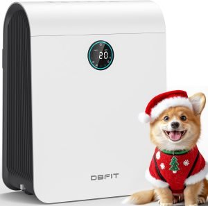 Smart Air Purifier