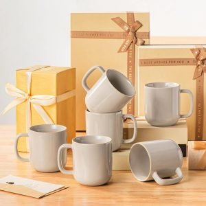 16 oz Coffee Mugs Set of 6