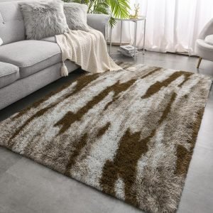 Area Rugs for Living Room