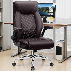 Ergonomic Desk Chair