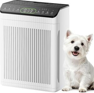 Air Purifiers for Home Large Room
